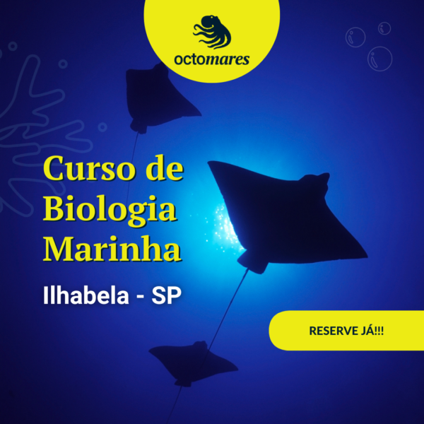 Curso de Biologia Marinha Novembro 2026 – Octomares