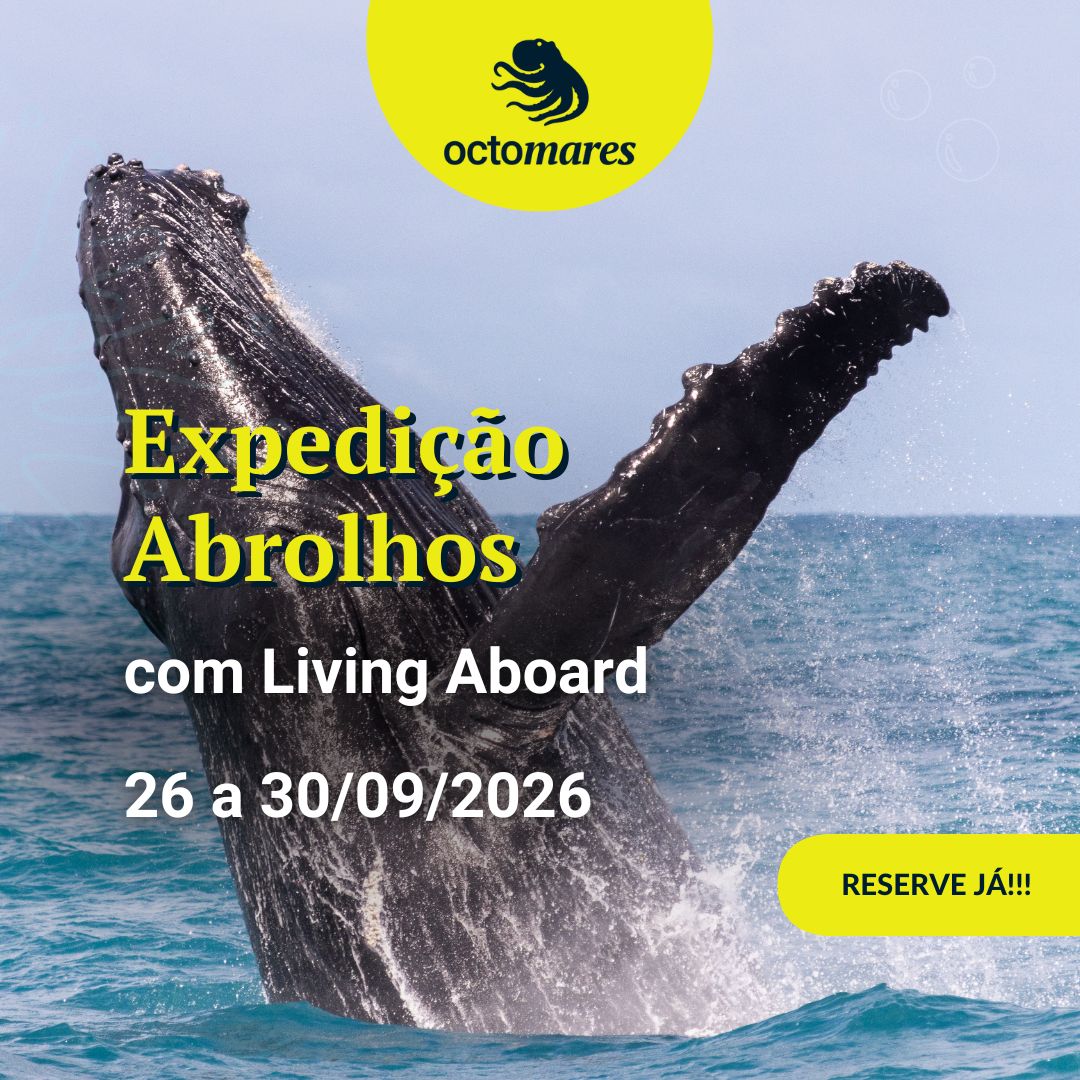 Capas cursos - quadradas (2)