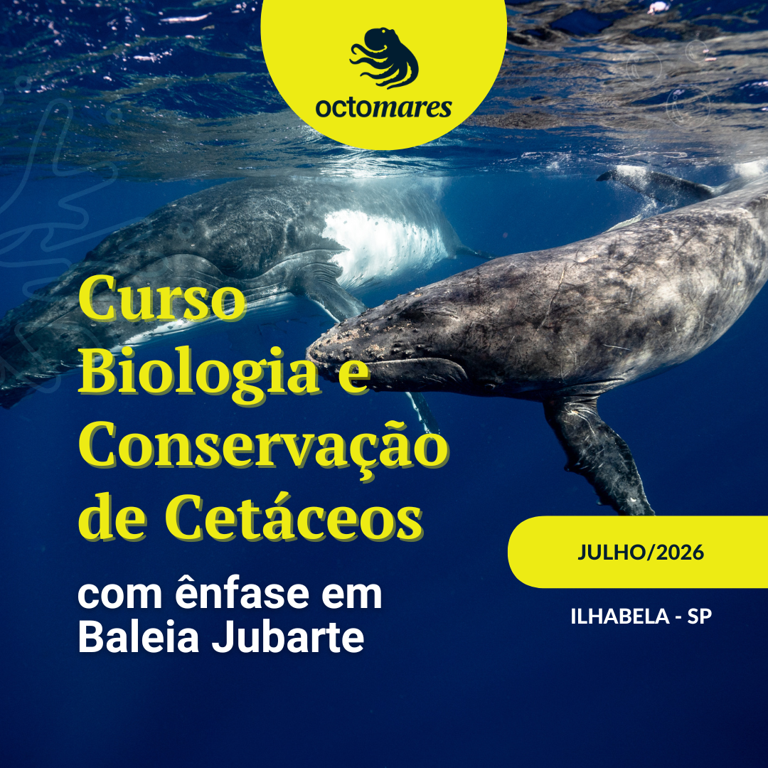 curso cetáceos julho