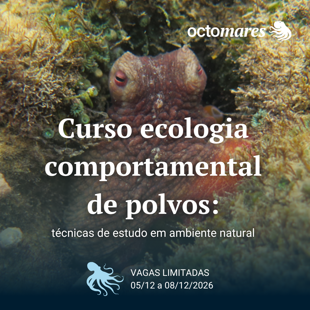 curso polvos